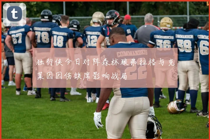 独行侠今日对阵森林狼弗拉格与克莱因因伤缺席影响战局